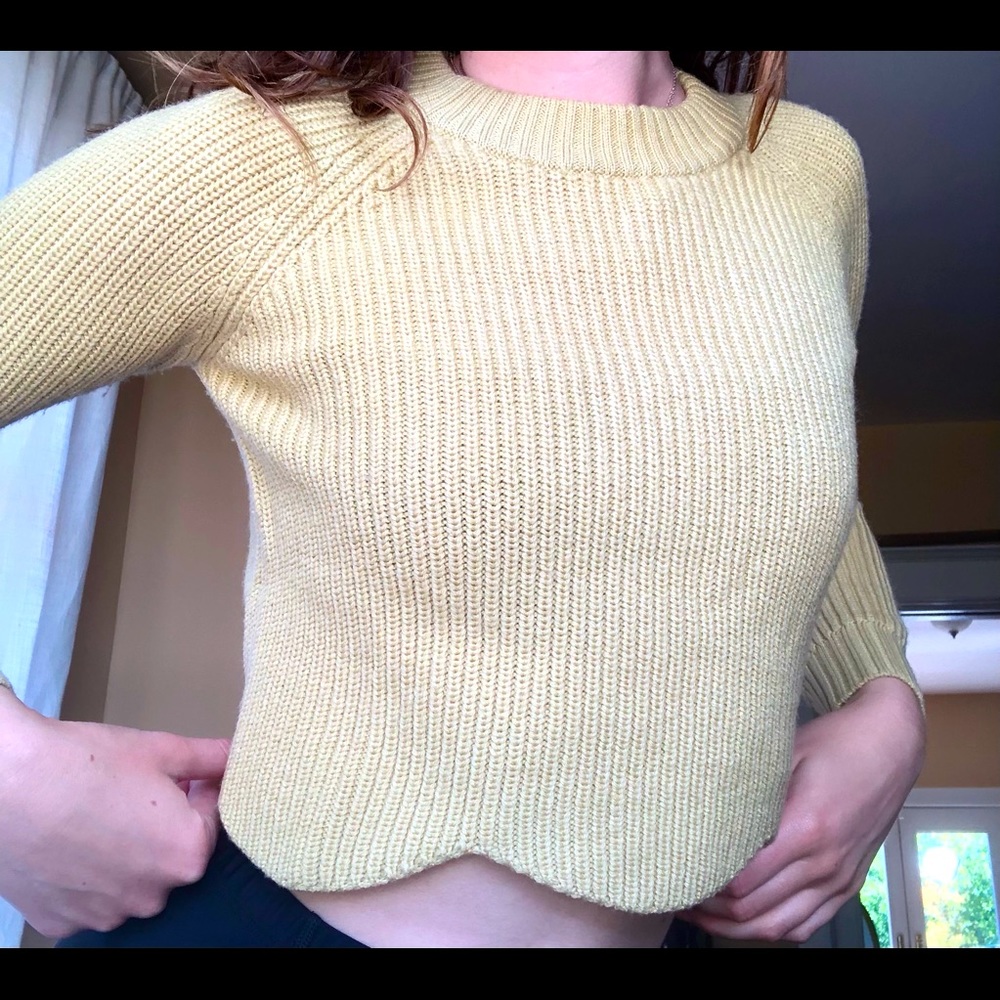 Knit Crop Sweater